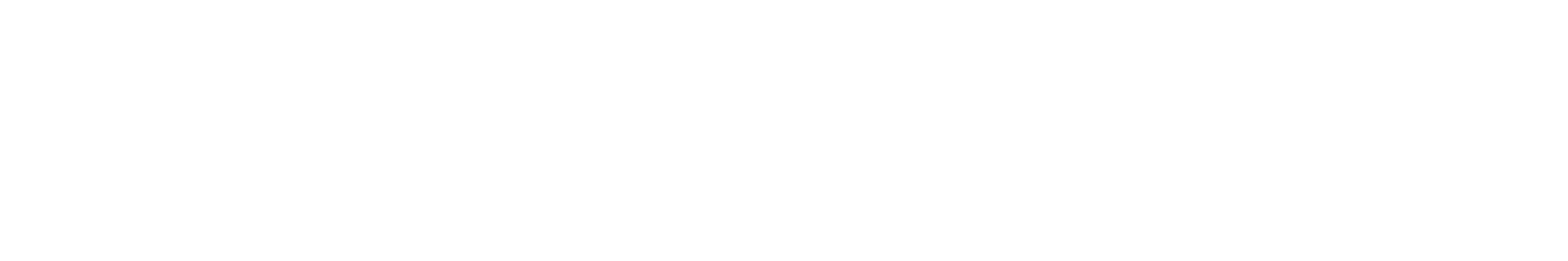 Caddis Capital Management Logo in White