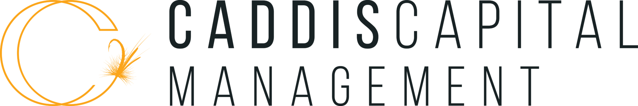 Caddis Capital Management