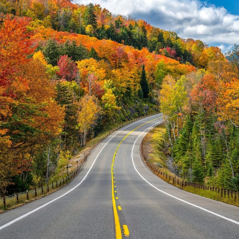 Autumn road lined by trees on either side.