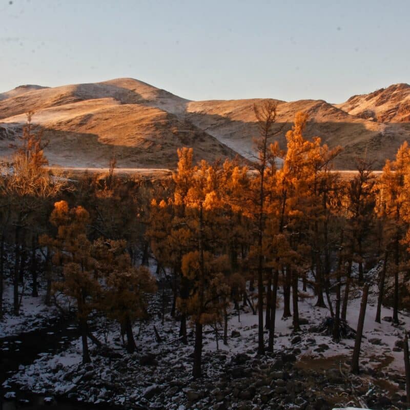 A beautiful shot of a mountain landscape partially covered with snow