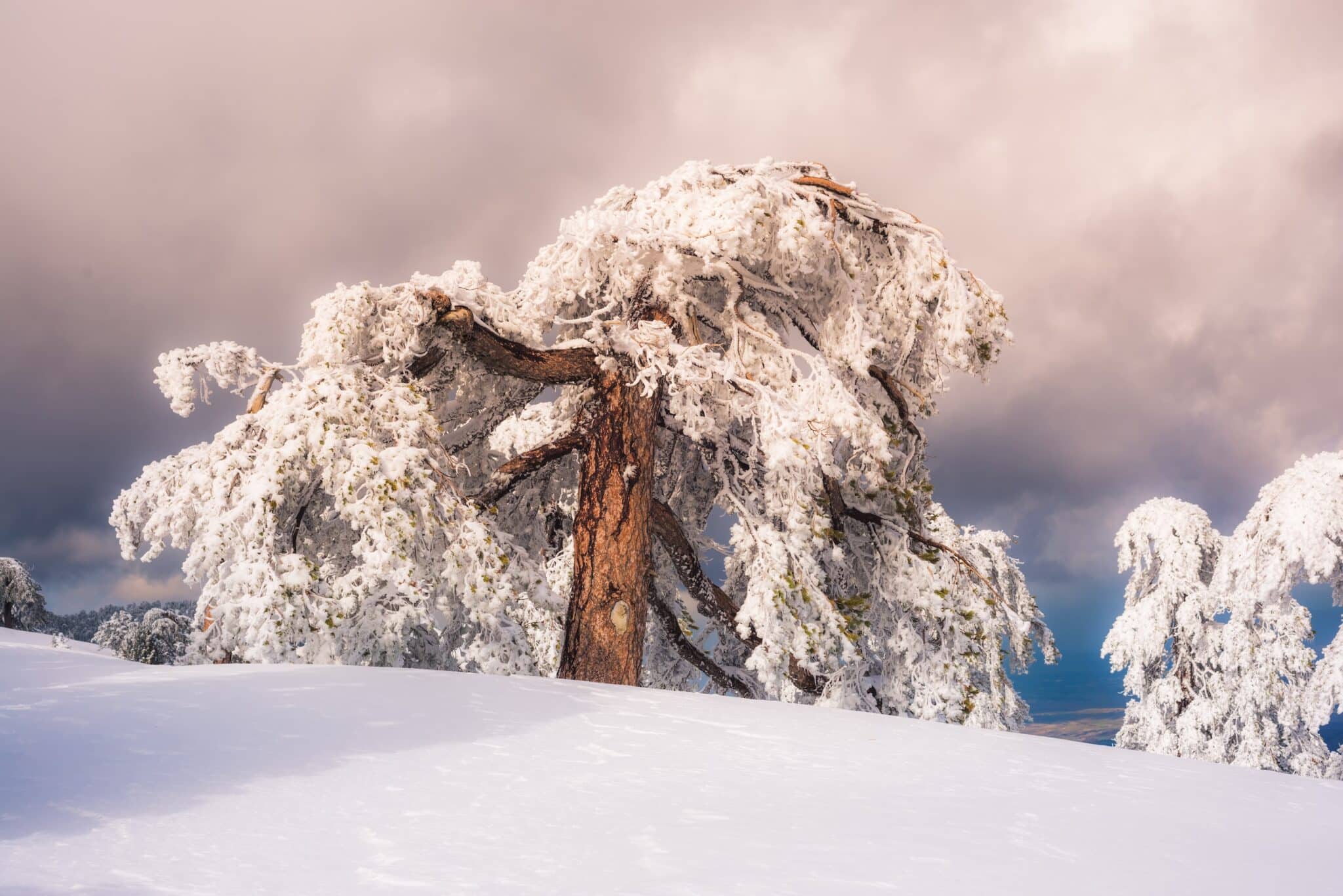 February 24th – 28th 2025