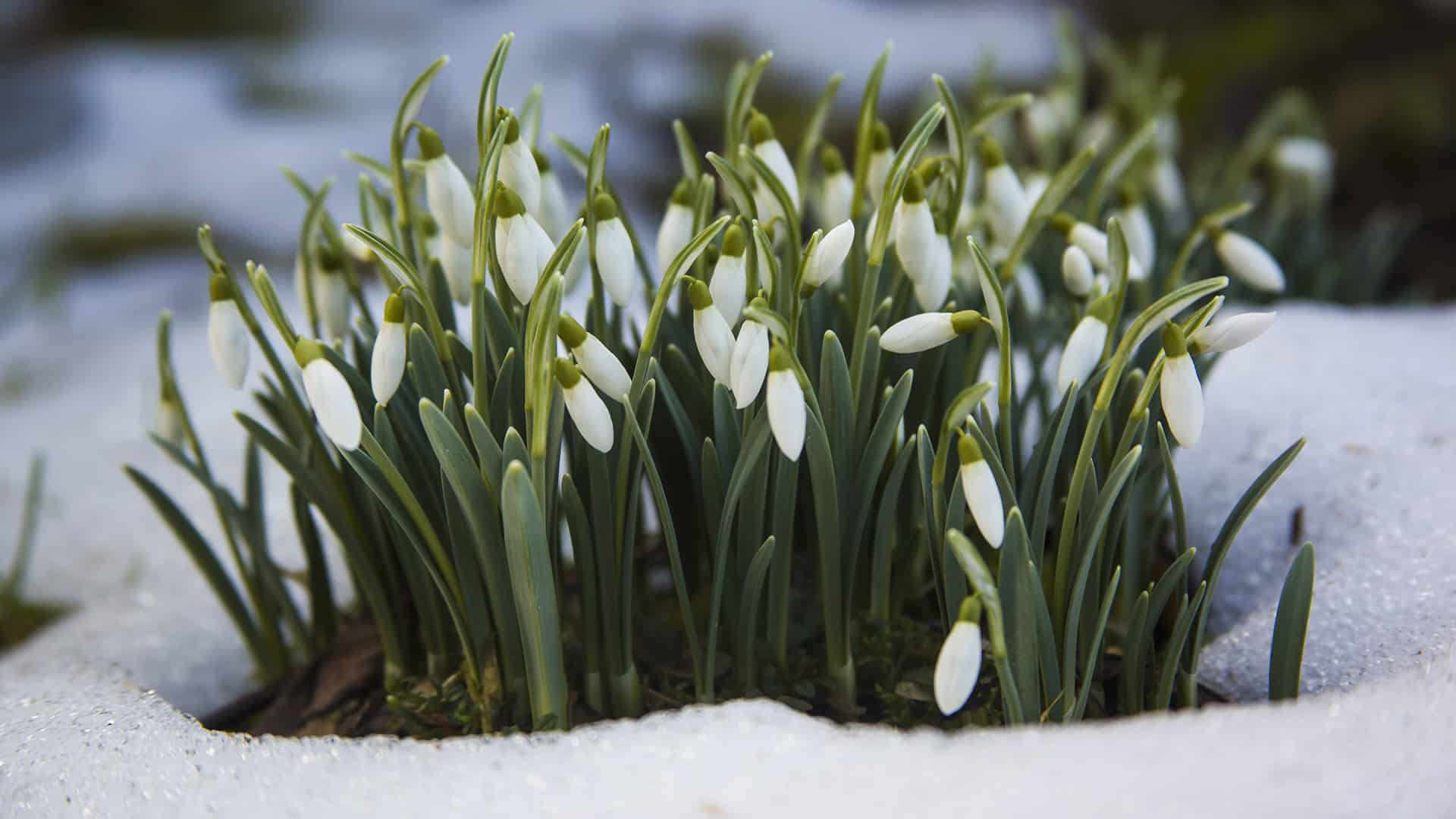 March 31st – April 4th 2025