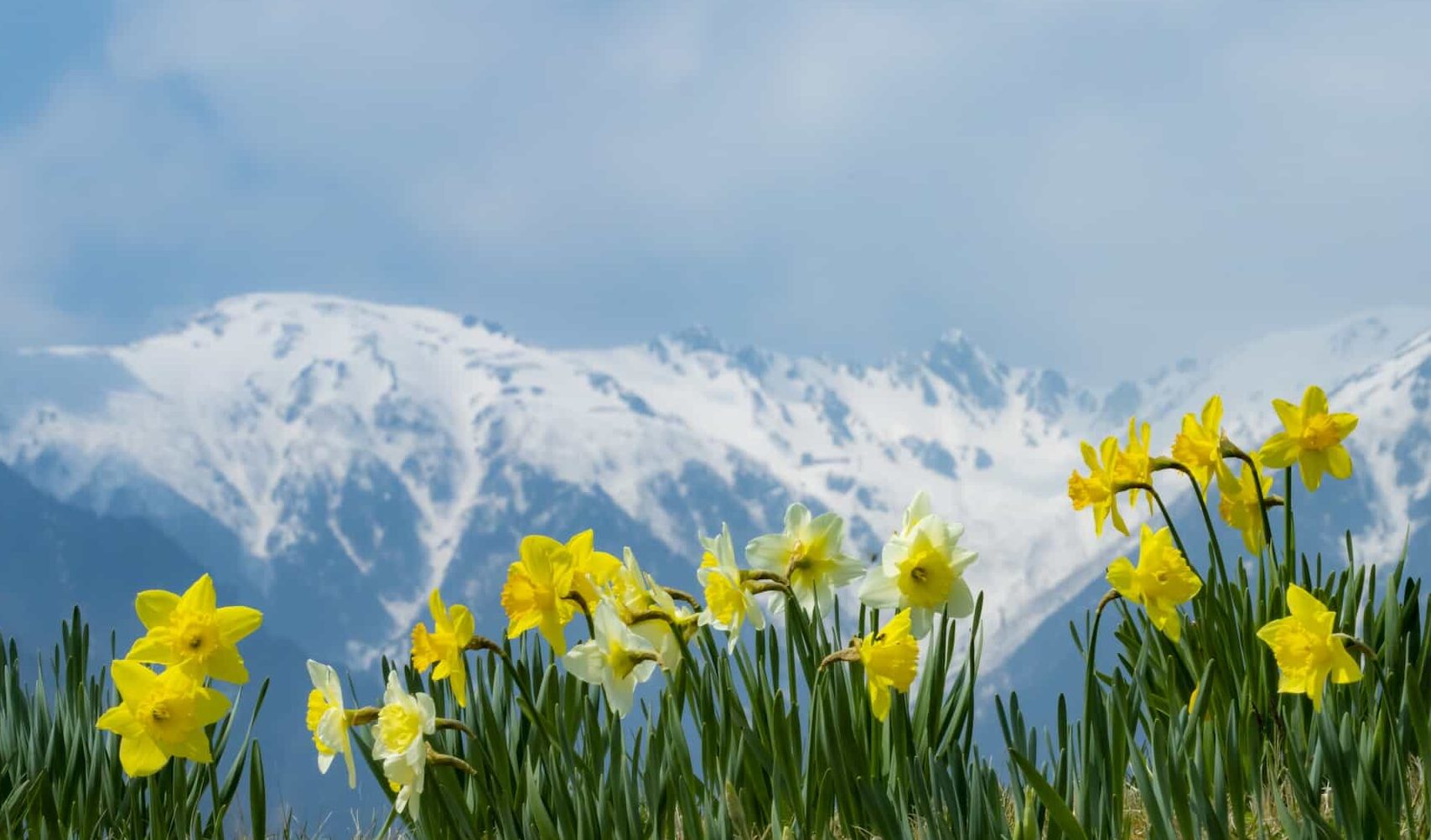 May 27th – 30th 2025