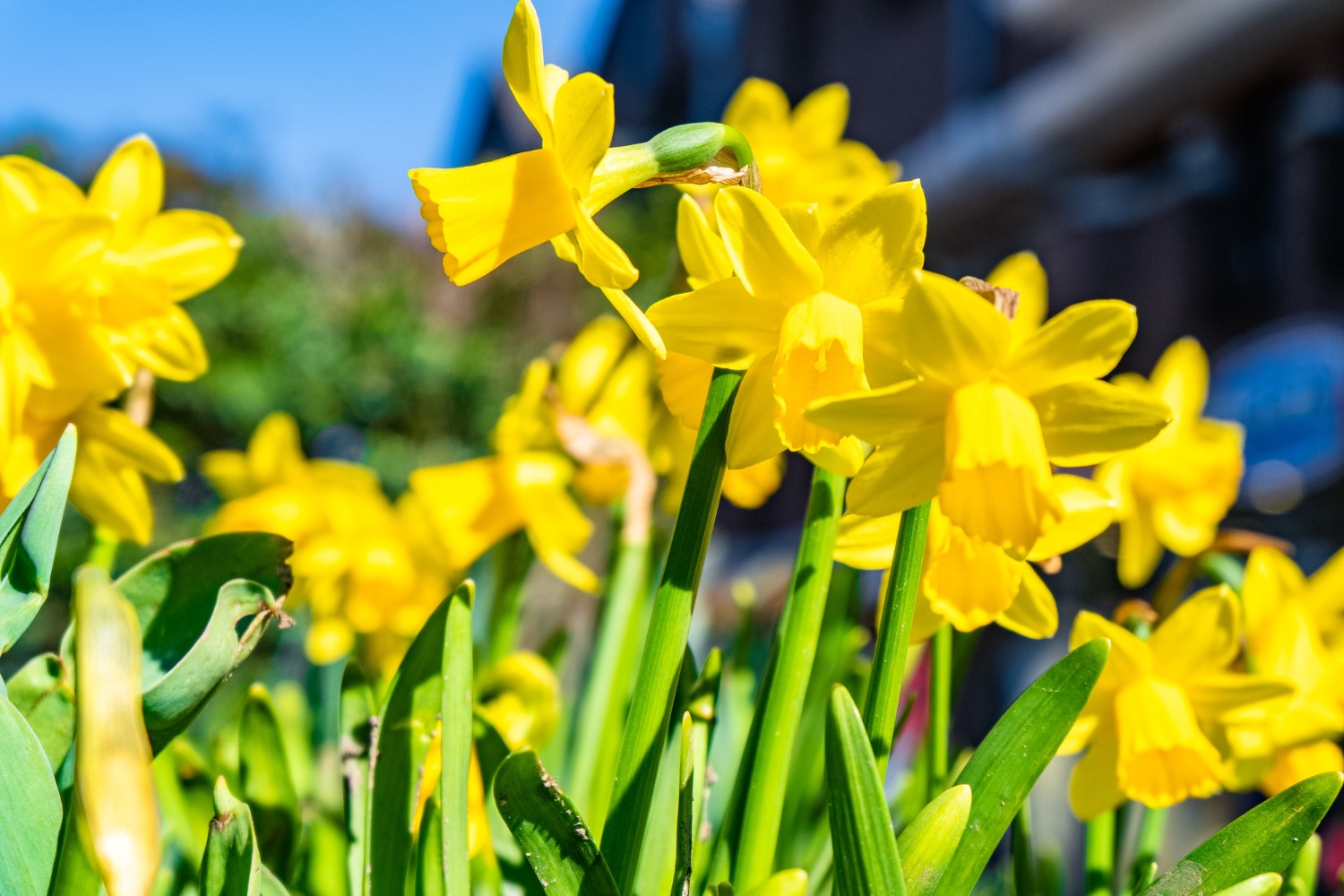 April 28th – May 2nd 2025