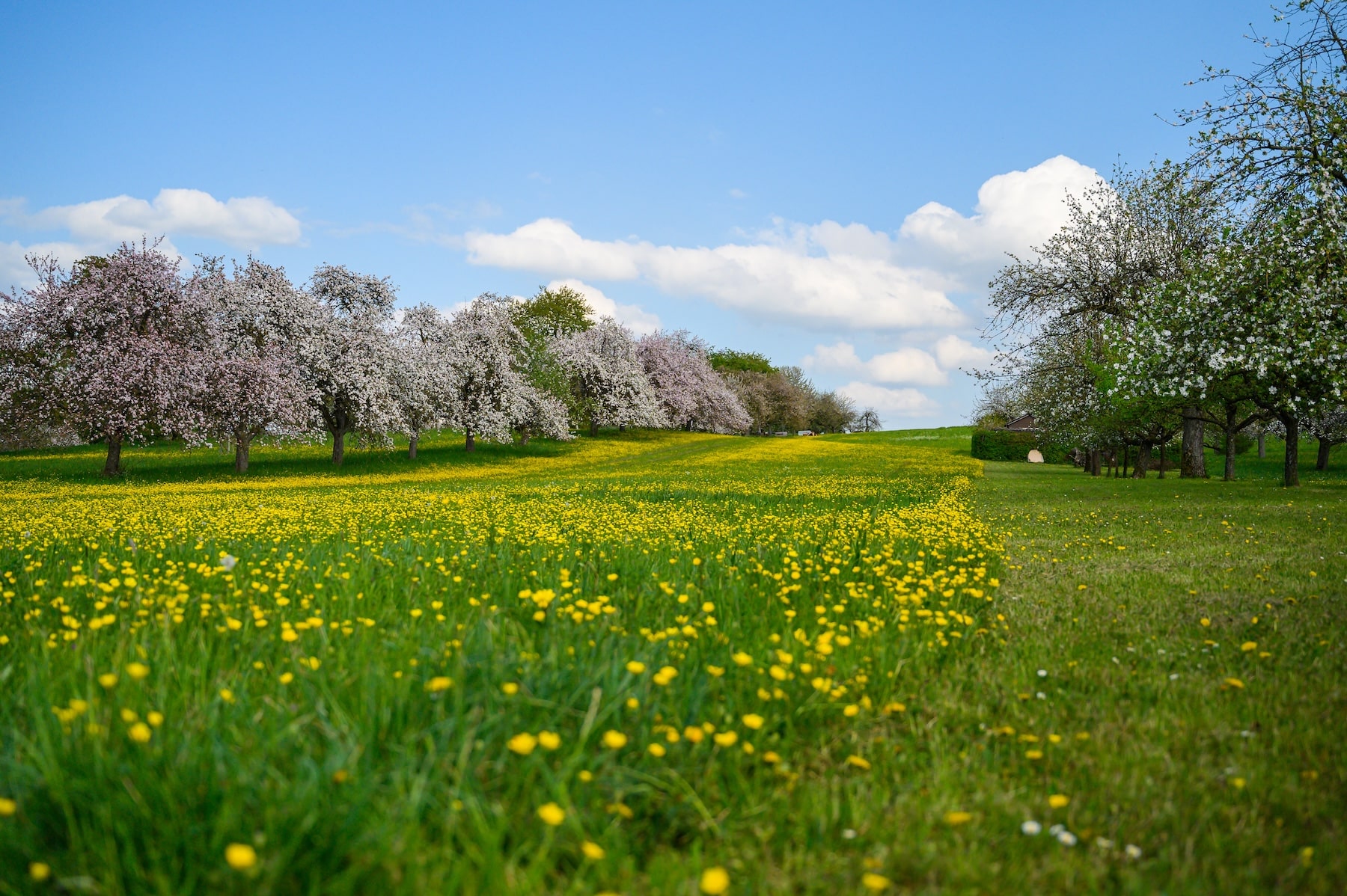 April 21st – 25th 2025