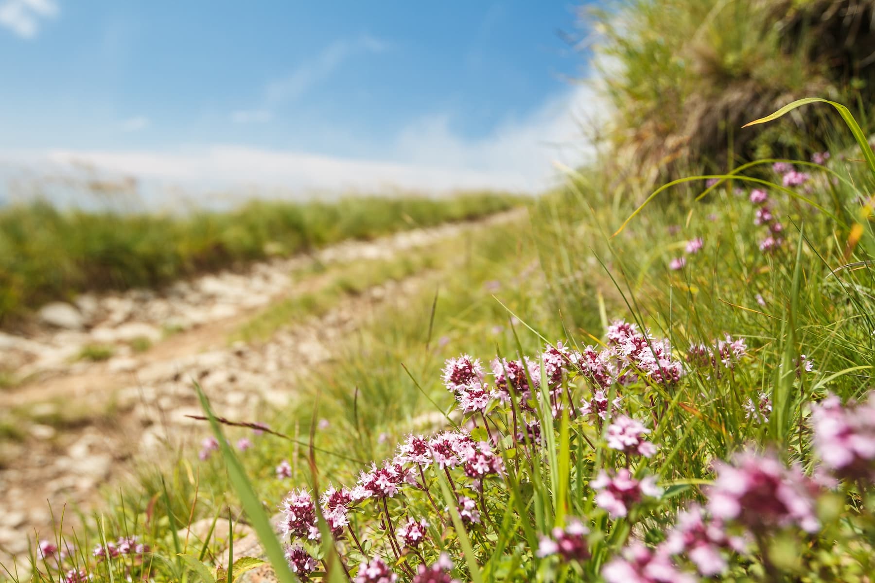 May 5th – 9th 2025