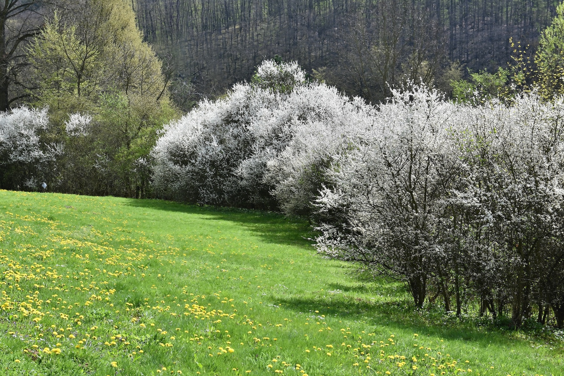 May 12th – 16th 2025