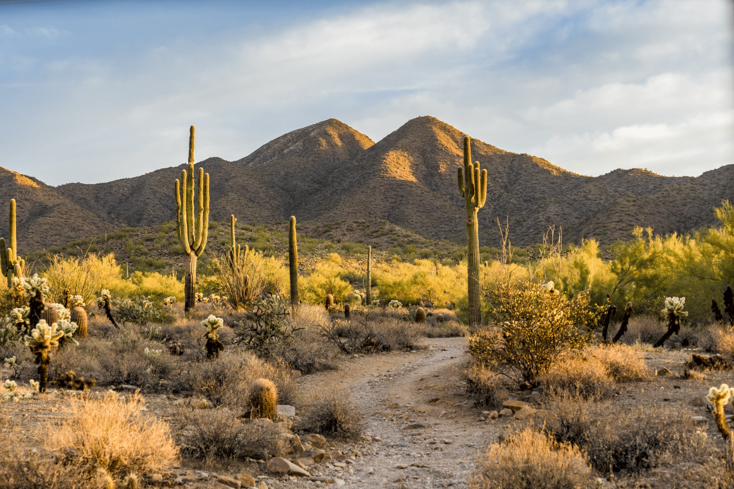 July 14th – 18th 2025