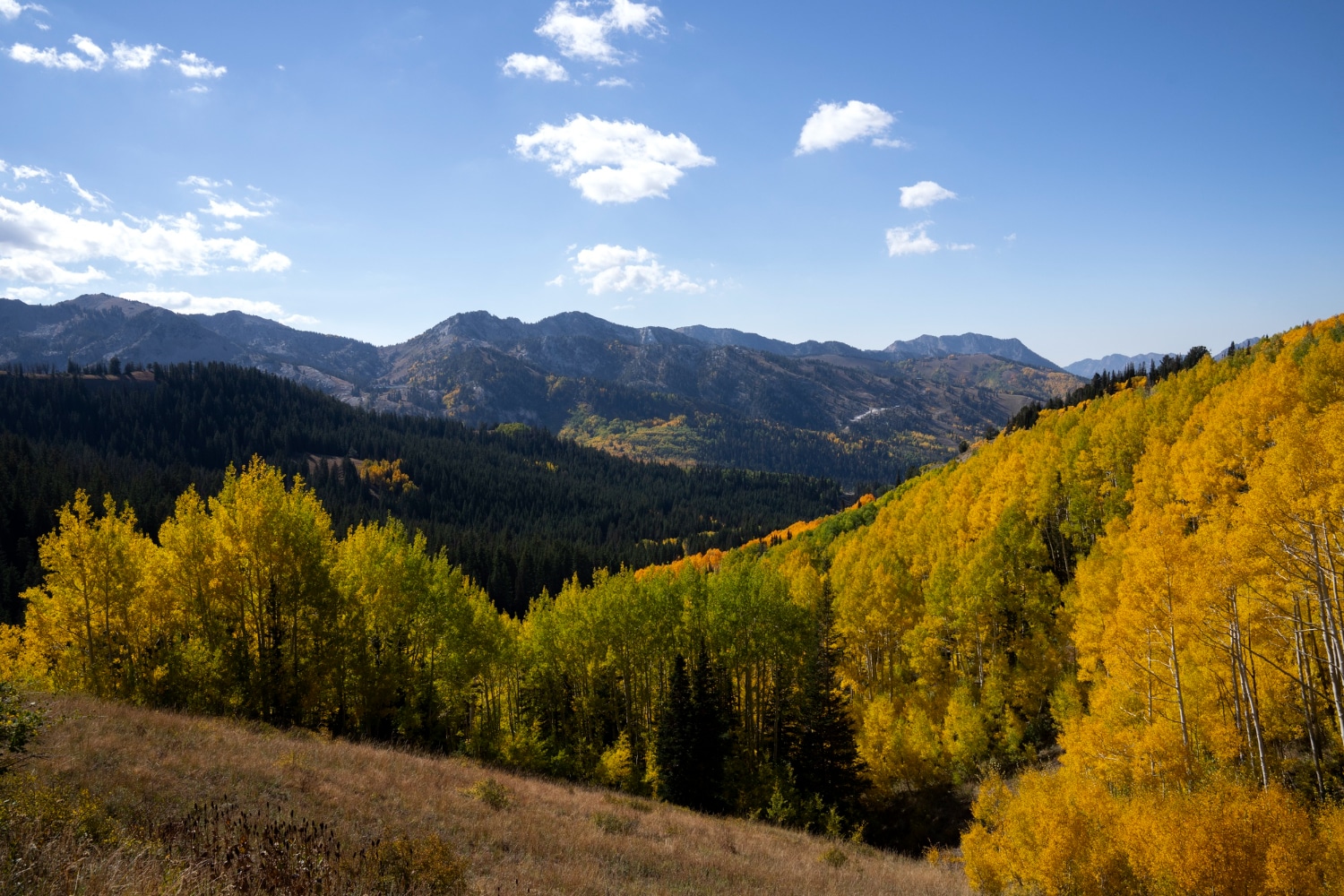 September 2nd – 5th 2025