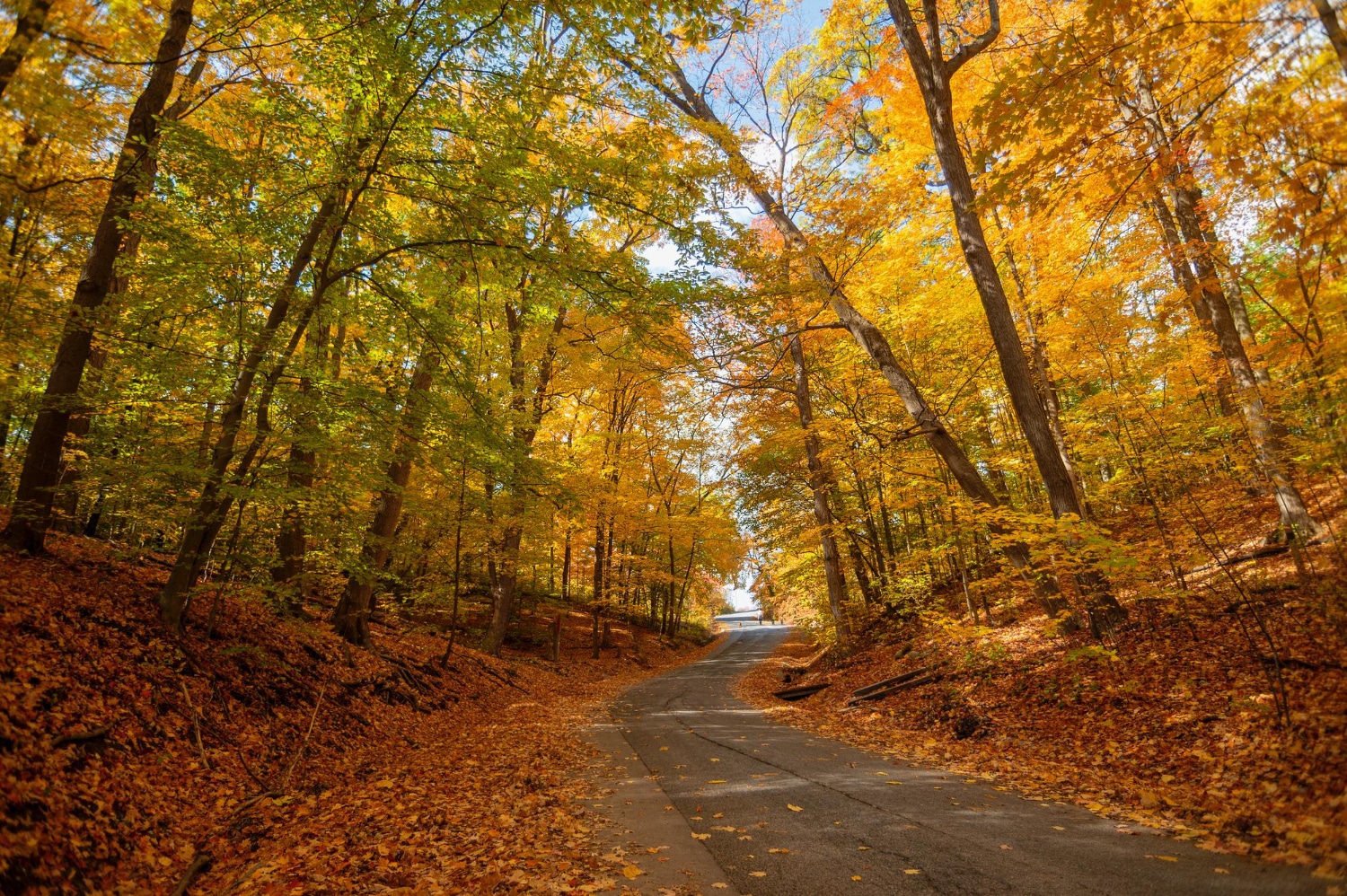 October 6th – 10th 2025