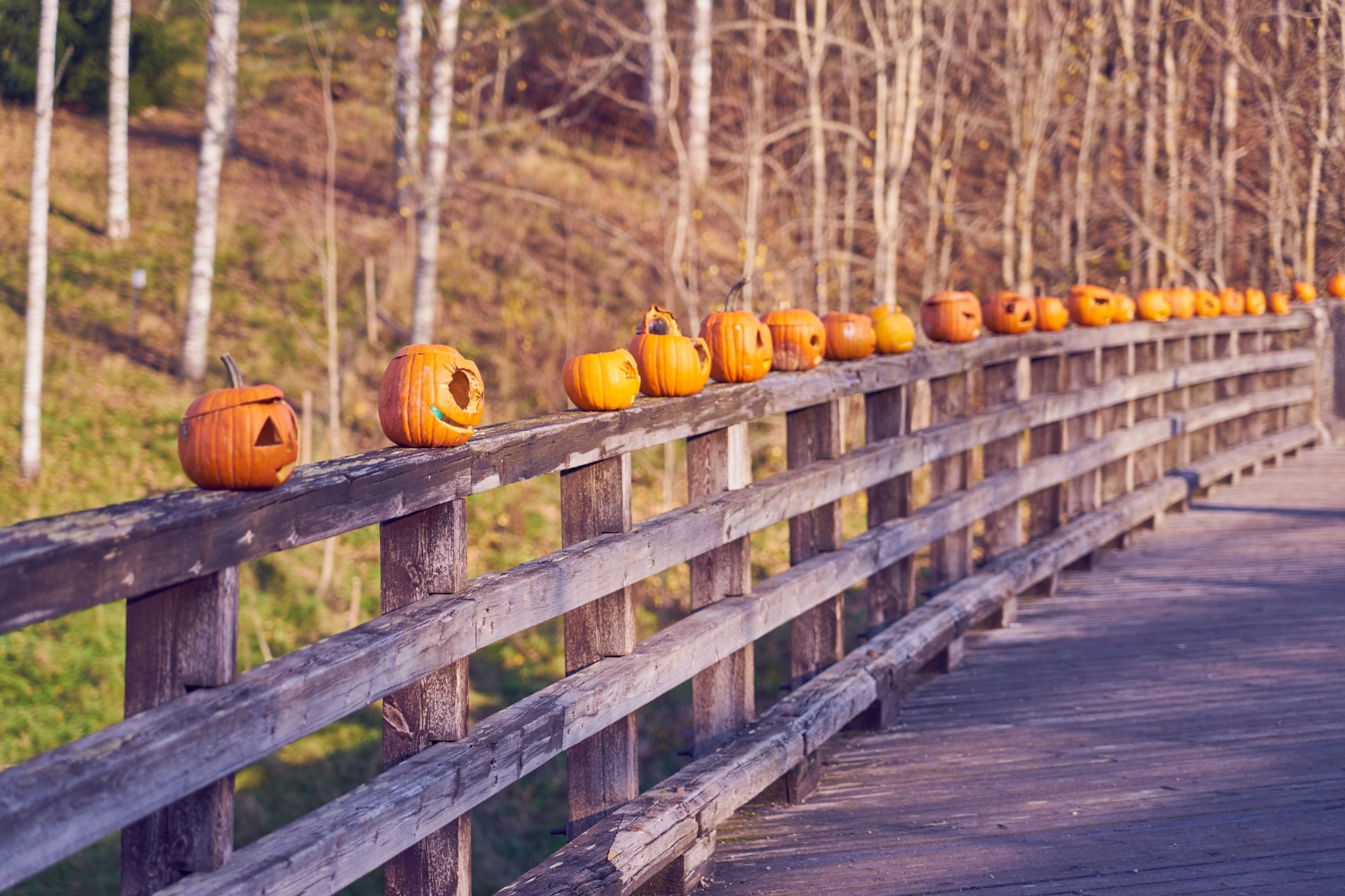October 20th – 24th 2025