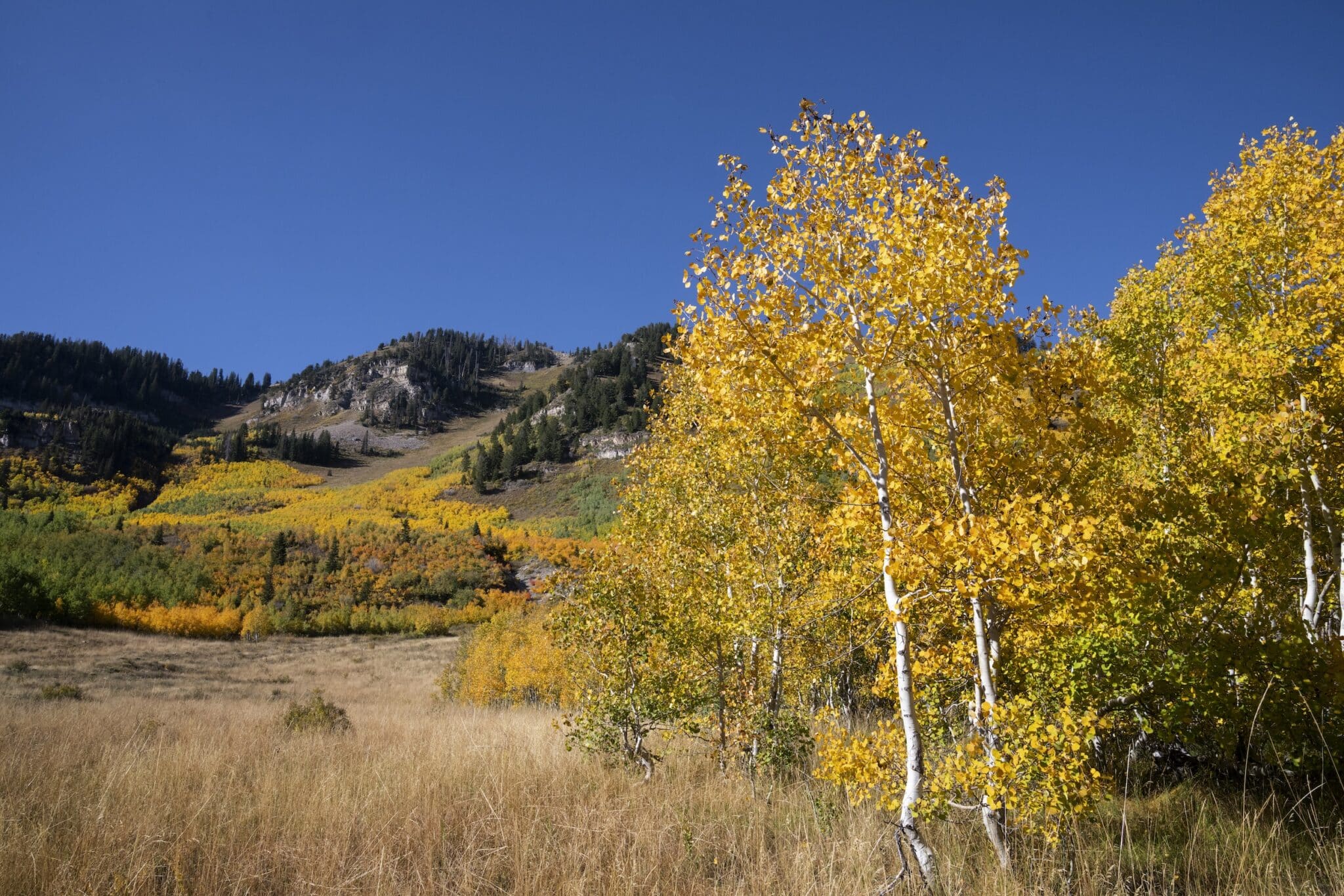 September 29th – October 3rd 2025