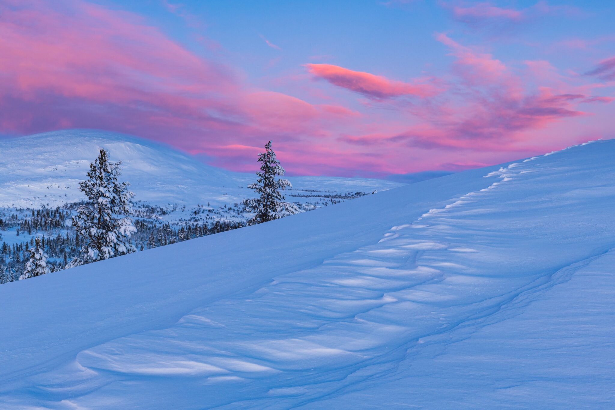February 2nd – 6th 2026