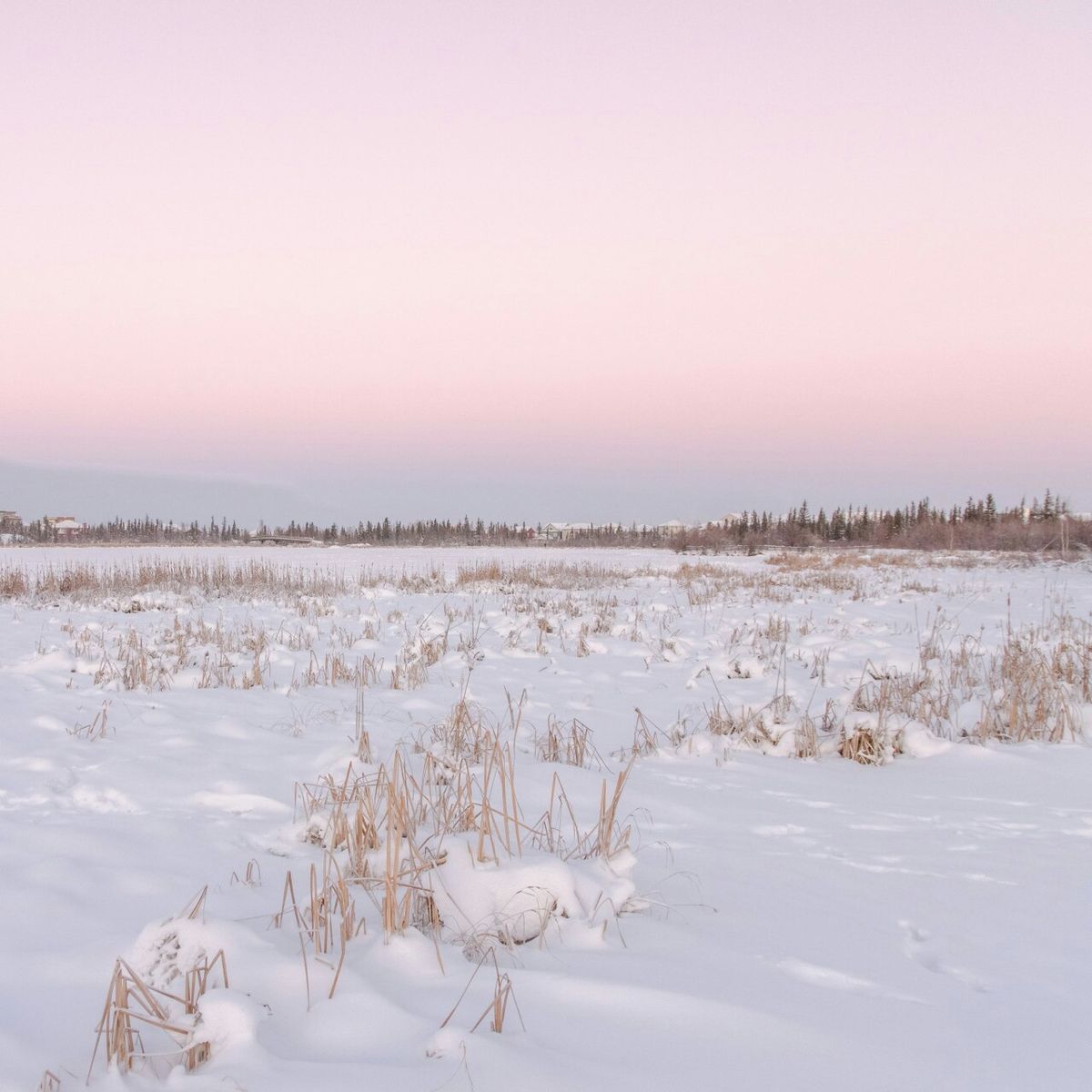 February 23rd – 27th 2026