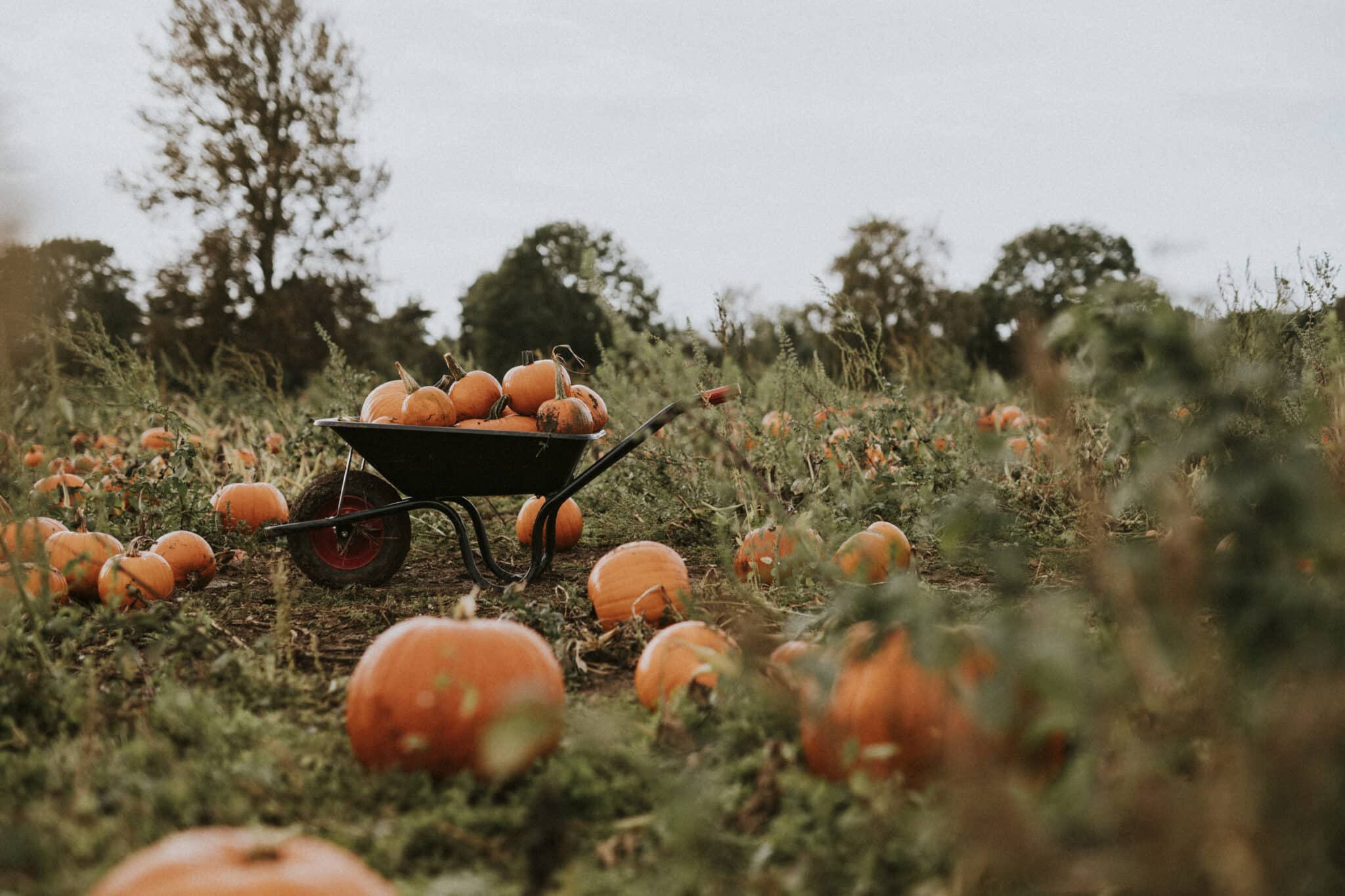 October 19th – October 23rd 2026